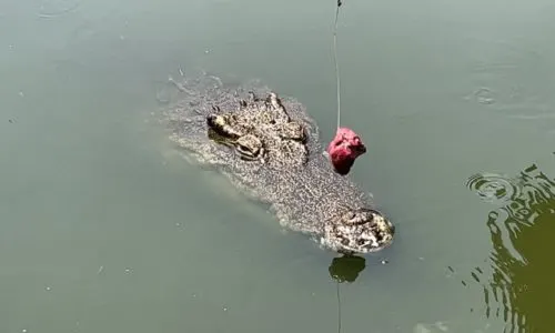 弾丸ベトナム旅行、リターンズ。