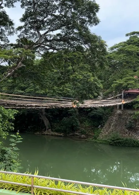 世界最小のメガネザルを見にフィリピンtrip！