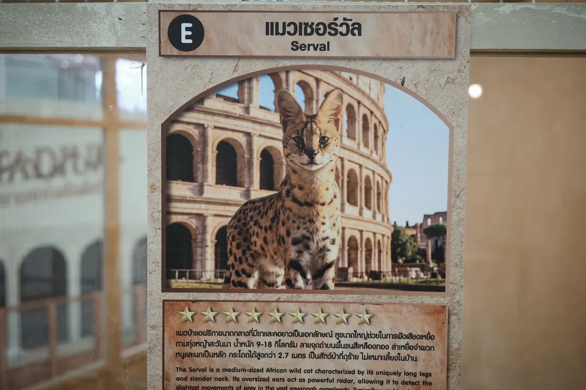 シーコンスクエアの動物園に行ってきた話
