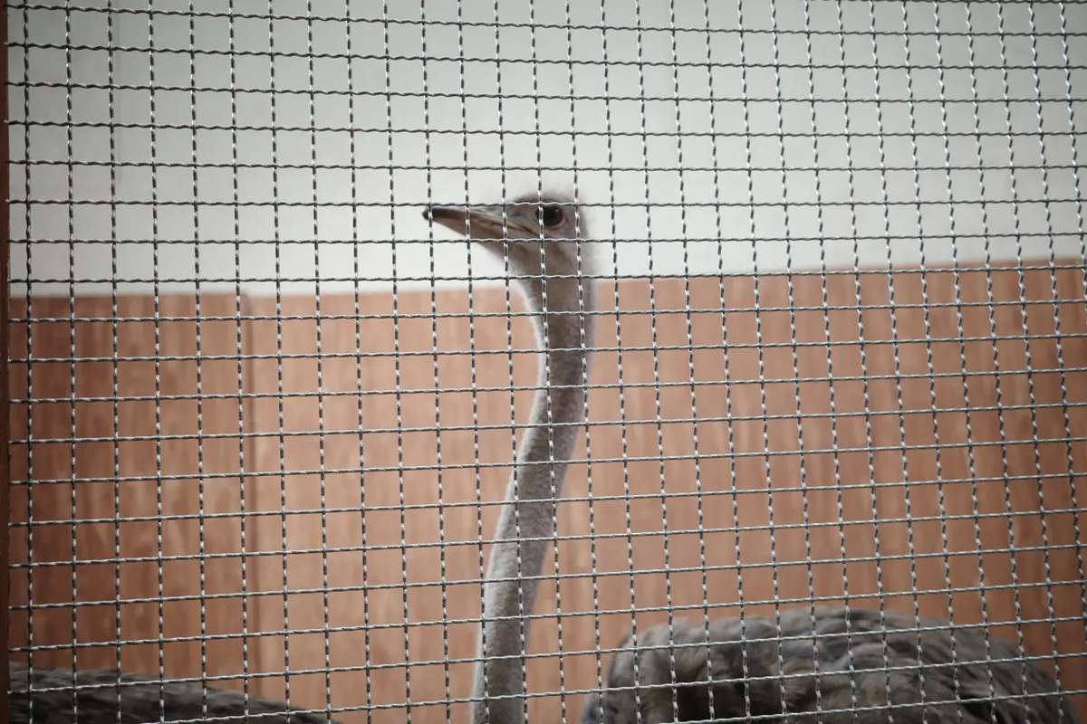 シーコンスクエアの動物園に行ってきた話