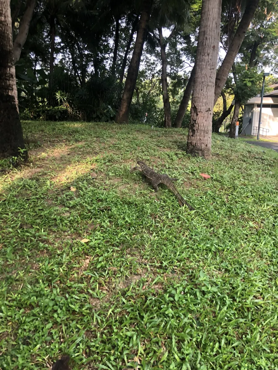 【ルンピニ】バンコクのおすすめ公園【クィーンシキット】