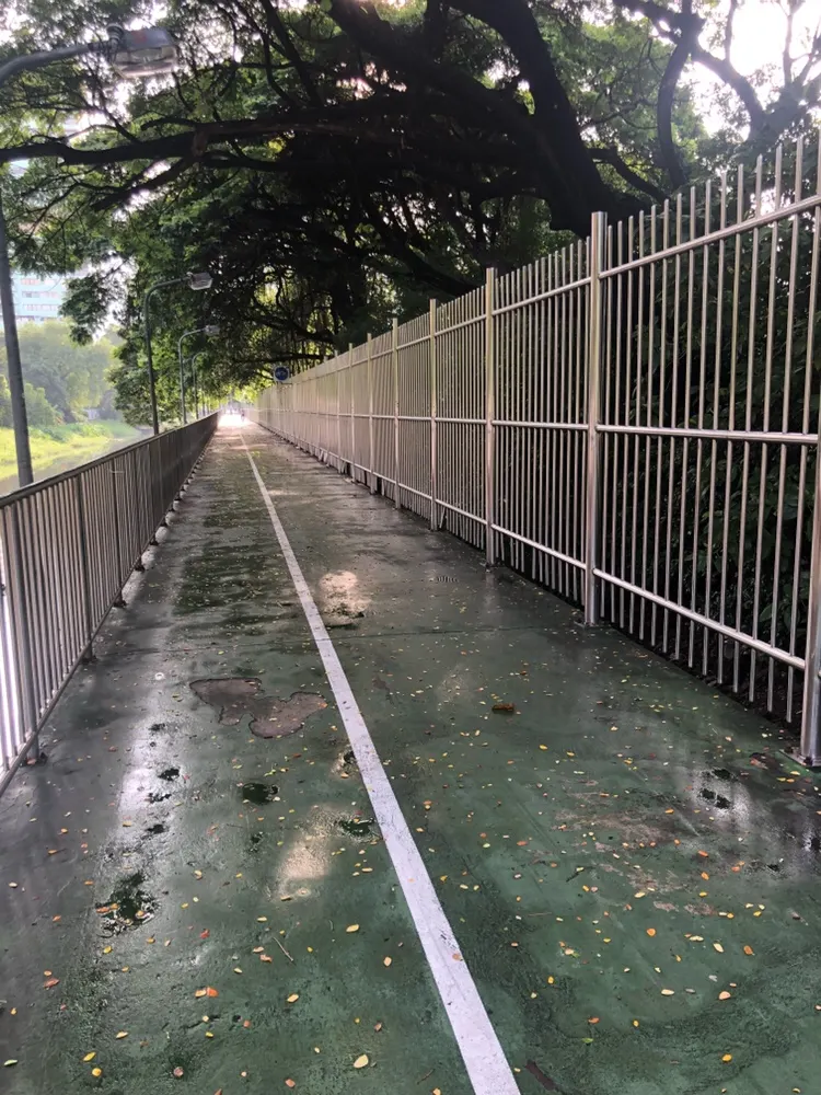 【ルンピニ】バンコクのおすすめ公園【クィーンシキット】