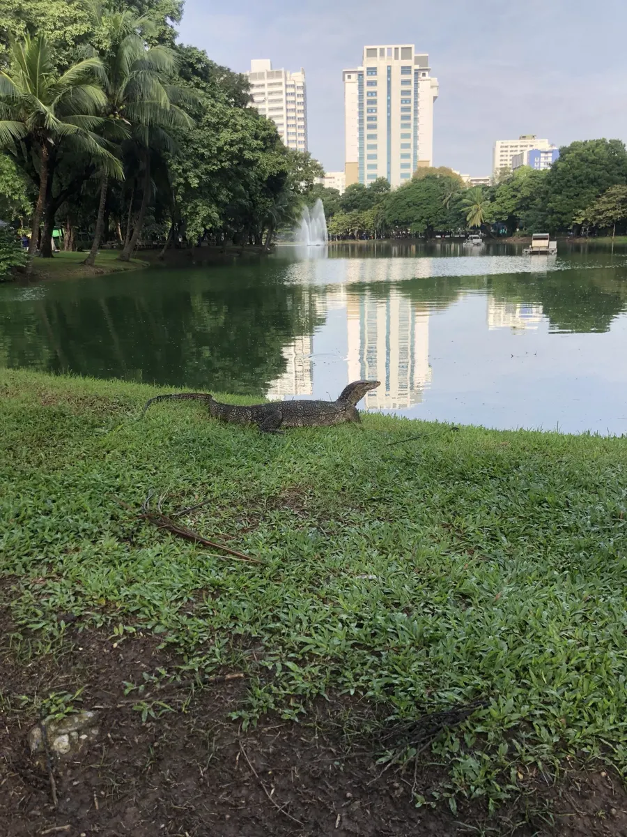 【ルンピニ】バンコクのおすすめ公園【クィーンシキット】