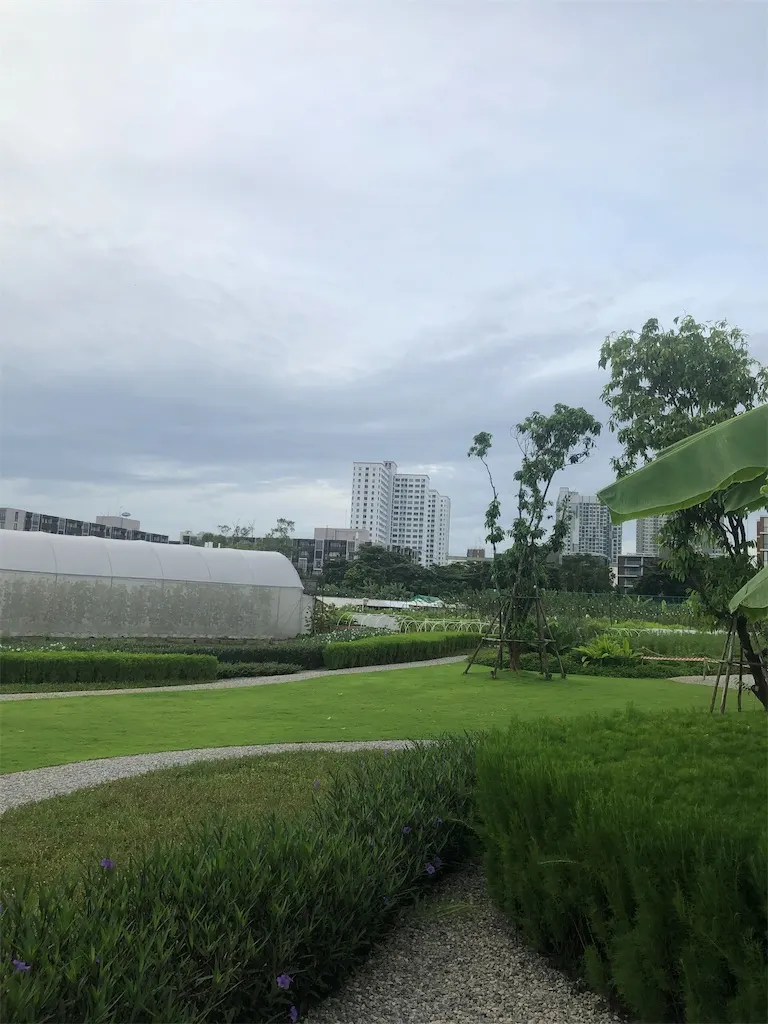 f:id:bkk42:20211115172254j:image