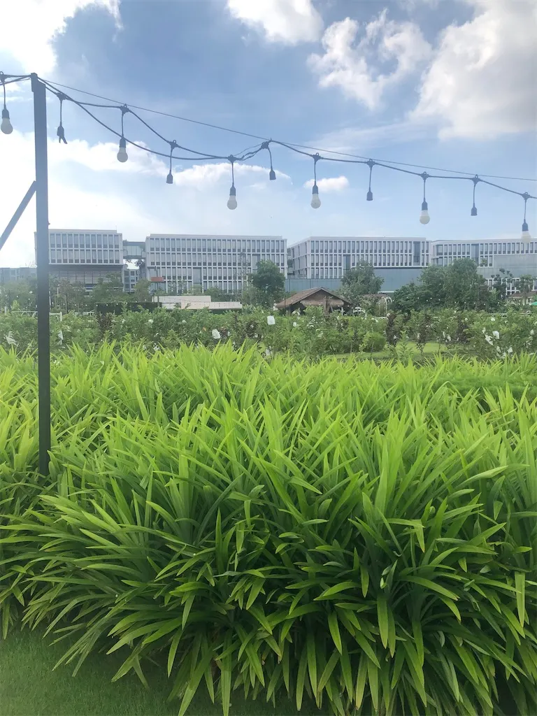 f:id:bkk42:20211115172306j:image