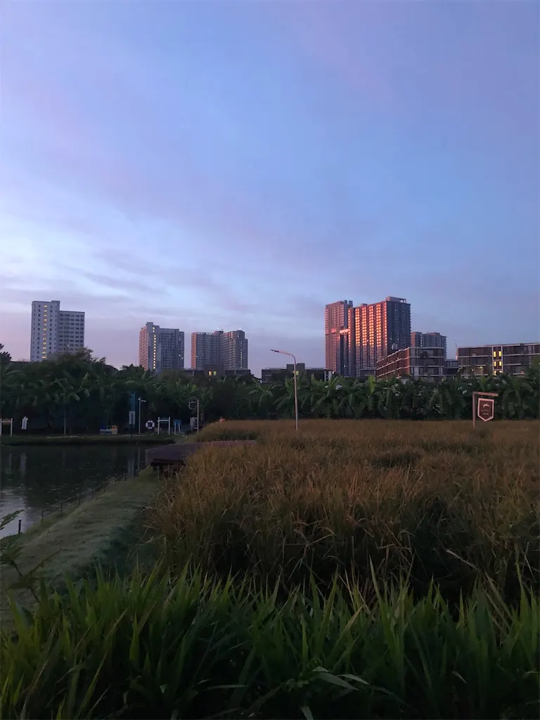 f:id:bkk42:20211115172322j:image